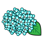 hydrangea_01-lightblue02