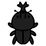beetle_01-top-monochrome