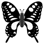 butterfly_swallowtail-top-monochrome