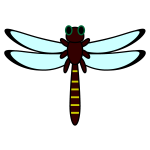 dragonfly_01-top