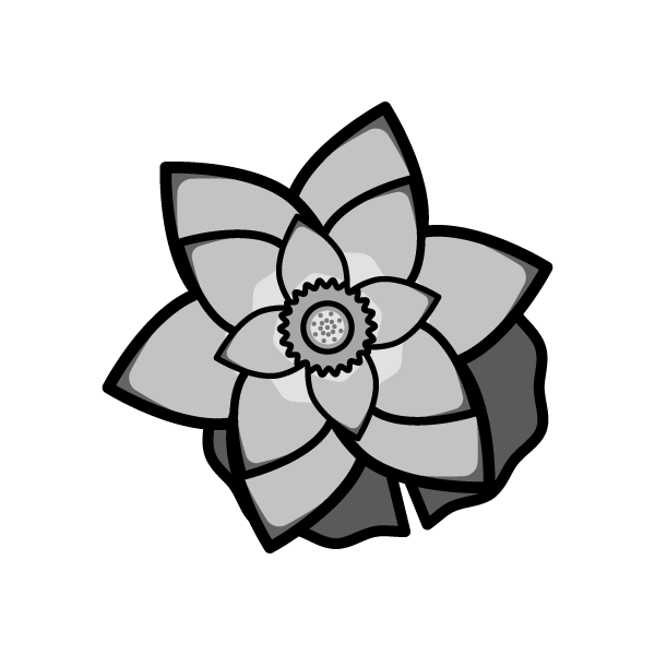 lotus_flower02-monochrome