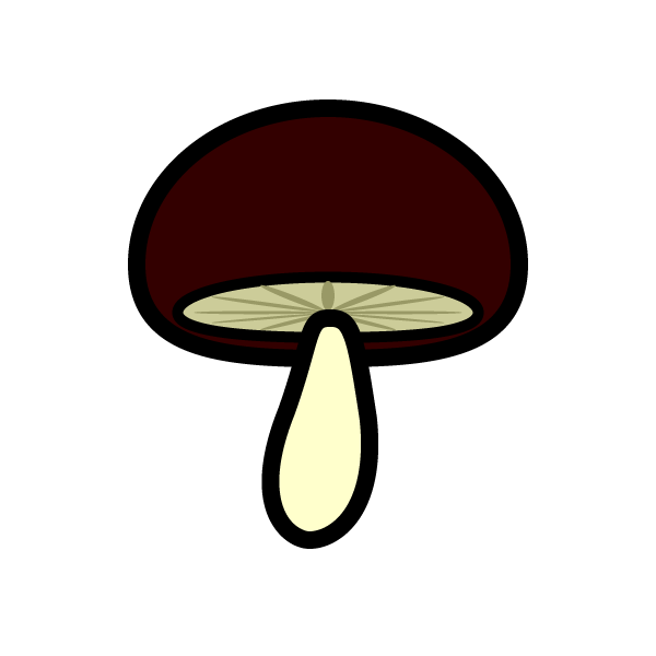 shiitake-mushroom_01