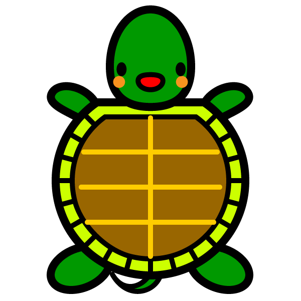 tortoise_01