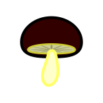 shiitake-mushroom_01-soft