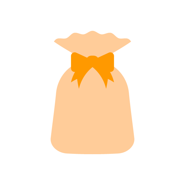 present2_bag-orange-nonline