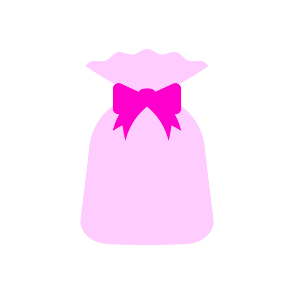 present2_bag-pink-nonline